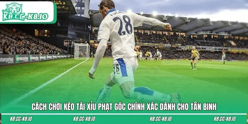 Cách chơi kèo tài xỉu phạt góc chính xác dành cho tân binh