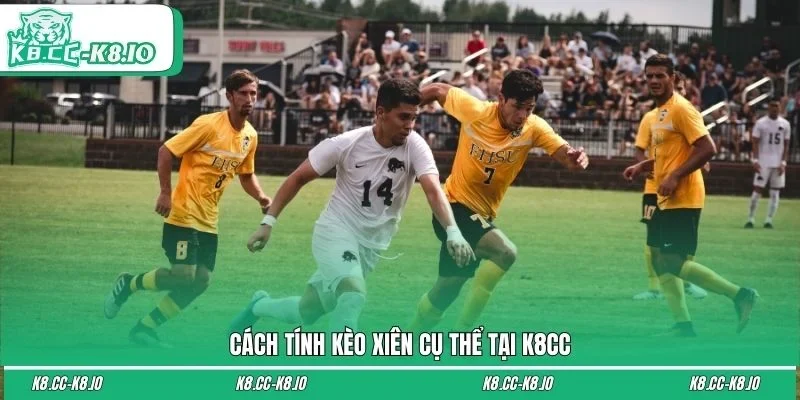 Cách tính kèo xiên cụ thể tại K8CC